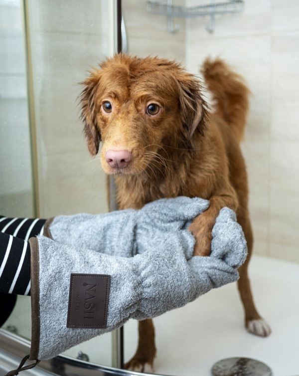 The Hairy Styles groomer with a freshly groomed dog